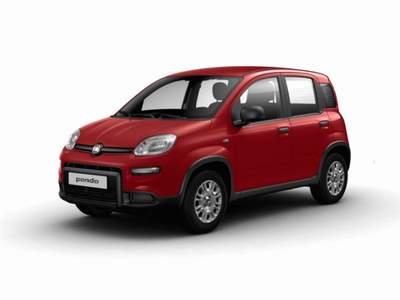 Fiat Panda 1.0 FireFly S&S Hybrid GPL Rosso usata MODENA