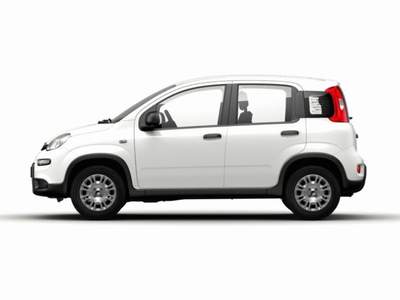 Fiat Panda 1.0 FireFly S&S Hybrid GPL Bianco usata MODENA