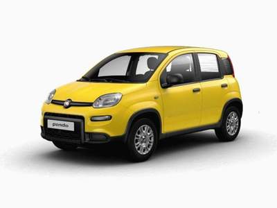 Fiat Panda 1.0 FireFly S&S Hybrid GPL Giallo usata MODENA