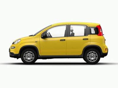 Fiat Panda 1.0 FireFly S&S Hybrid GPL Giallo usata MODENA