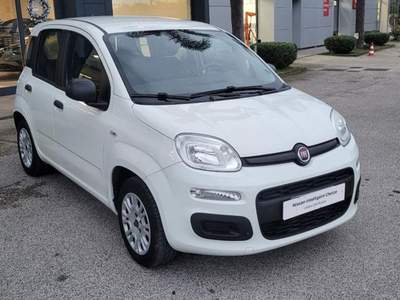 Fiat Panda 1.2 EasyPower Easy Bianco usata Monte di Procida
