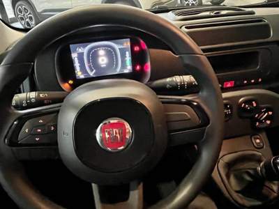 Fiat Panda 1.0  Hybrid/VARI COLORI/PROMO ROTTAMAZIONE Giallo usata Rivarolo Canavese
