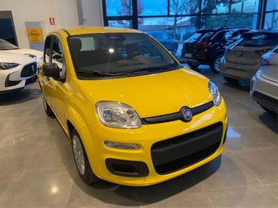 Fiat Panda 1.0  Hybrid/VARI COLORI/PROMO ROTTAMAZIONE Giallo usata Rivarolo Canavese