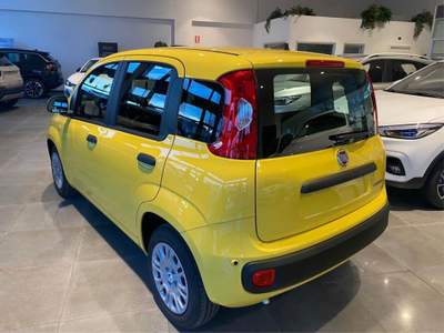 Fiat Panda 1.0  Hybrid/VARI COLORI/PROMO ROTTAMAZIONE Giallo usata Rivarolo Canavese
