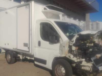 Peugeot Boxer isotermico con allestimento Lamberet Bianco usata Soliera