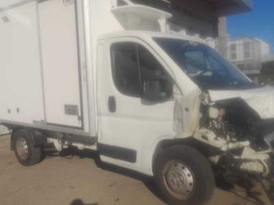 Peugeot Boxer isotermico con allestimento Lamberet Bianco usata Soliera