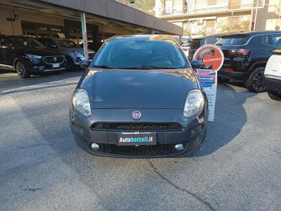 Fiat Punto 1.2 8V 5 porte Street - UNICOPROPRIETARIO Grigio usata Genova