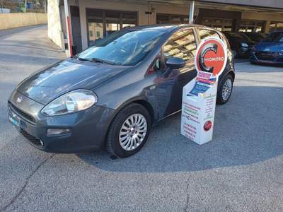 Fiat Punto 1.2 8V 5 porte Street - UNICOPROPRIETARIO Grigio usata Genova
