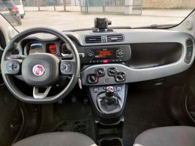 Fiat Panda 1.0 FireFly S&S Hybrid City Life Bianco usata Petrosino