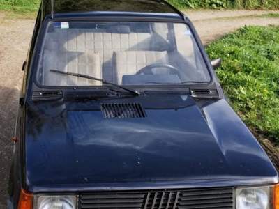 Fiat Panda 1ª serie 30 L Grigio usata Gaglianico