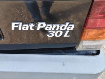 Fiat Panda 1ª serie 30 L Grigio usata Gaglianico