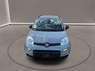 Fiat Panda 3ª serie -  1.0 FireFly S&S Hybrid City Life Grigio usata Caltanissetta
