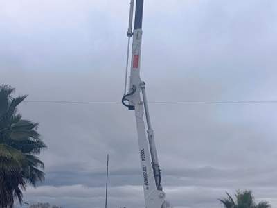 Nissan Cabstar Cabstar 35.13 2.5 TDI 130CV CASSONE FISSO CON GRU revisione gru 03/2026 usata PIGNATARO INTERAMNA