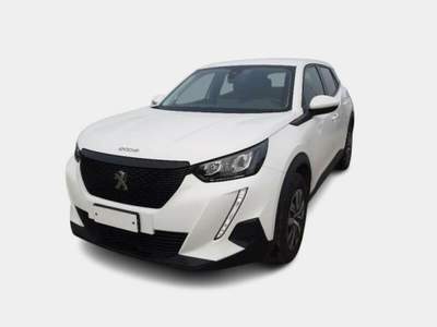 Peugeot 2008 BlueHDi 100 S&S Active Bianco usata Alcamo