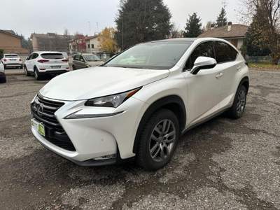 Lexus NX Hybrid 4WD Executive GPL Bianco usata Reggio Emilia