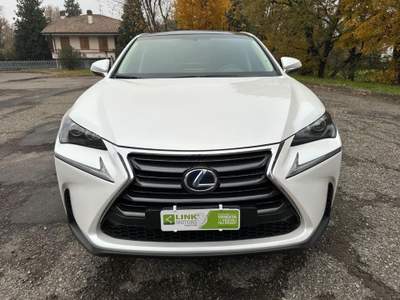 Lexus NX Hybrid 4WD Executive GPL Bianco usata Reggio Emilia