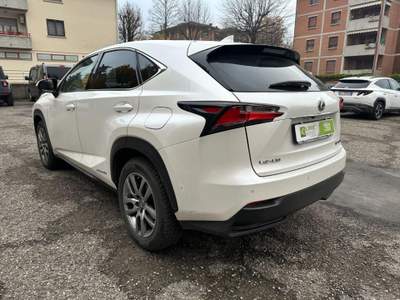Lexus NX Hybrid 4WD Executive GPL Bianco usata Reggio Emilia
