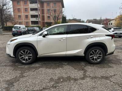 Lexus NX Hybrid 4WD Executive GPL Bianco usata Reggio Emilia