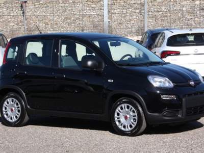 Fiat Panda 1.0 S&S Hybrid CON ROTTAMAZIONE Nero usata Bernalda
