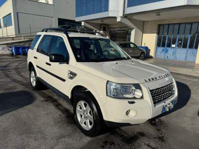 Land Rover Freelander 2.2 TD4 S.W. XS TD4.e RECANATI Bianco usata Recanati