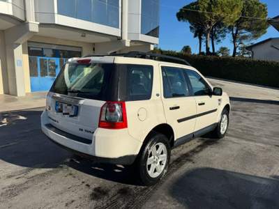 Land Rover Freelander 2.2 TD4 S.W. XS TD4.e RECANATI Bianco usata Recanati