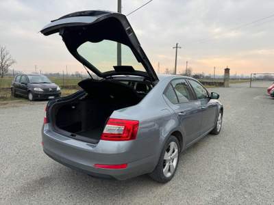Skoda Octavia 1.6 TDI CR 105 CV DSG Elegance Grigio usata Alessandria