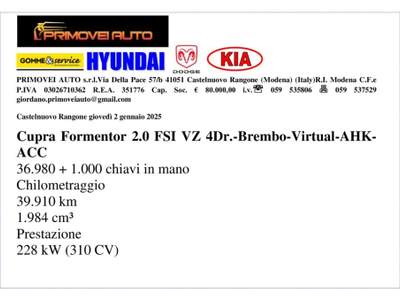 Cupra Formentor 2.0 TSI 4Drive DSG VZ Grigio usata Castelnuovo Rangone