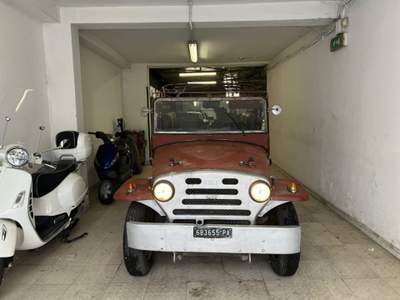 Fiat Campagnola 2.0 torpedo Lilla usata PALERMO