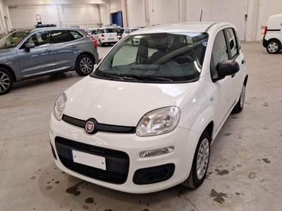 Fiat Panda 1.2 Easy Bianco usata Alba