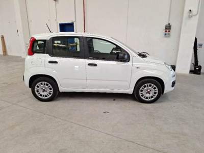 Fiat Panda 1.2 Easy Bianco usata Alba