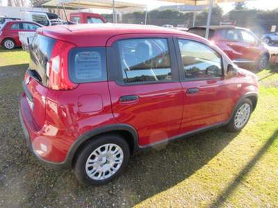 Fiat Panda 1.0 FireFly S&S Hybrid Pandina Rosso usata MAGENTA