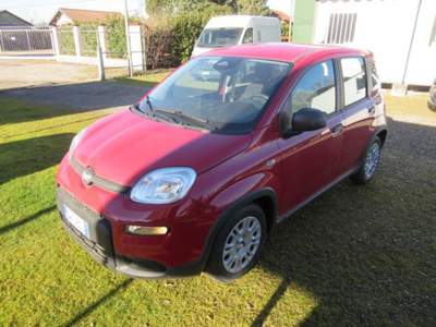 Fiat Panda 1.0 FireFly S&S Hybrid Pandina Rosso usata MAGENTA