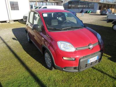 Fiat Panda 1.0 FireFly S&S Hybrid Pandina Rosso usata MAGENTA