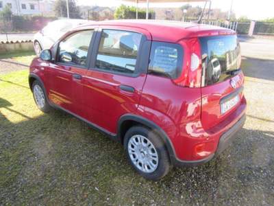 Fiat Panda 1.0 FireFly S&S Hybrid Pandina Rosso usata MAGENTA