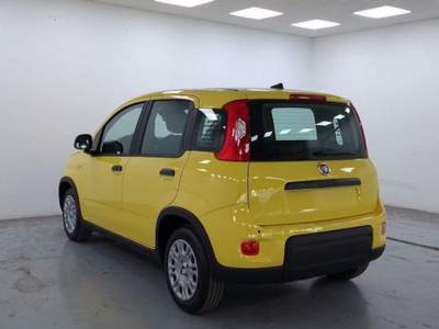 Fiat Panda 1.0 FireFly S&S Hybrid Pandina PREZZO REALE Giallo usata Castelletto Sopra Ticino