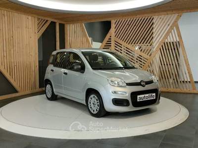 Fiat Panda 1.0 firefly hybrid s&s 70cv Argento usata Lamezia Terme