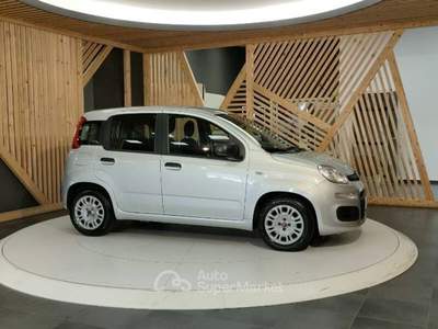 Fiat Panda 1.0 firefly hybrid s&s 70cv Argento usata Lamezia Terme