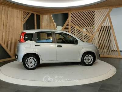 Fiat Panda 1.0 firefly hybrid s&s 70cv Argento usata Lamezia Terme