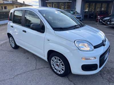 Fiat Panda 1.0 hybrid Easy s&s 70cv Bianco usata Sora
