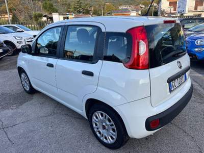 Fiat Panda 1.0 hybrid Easy s&s 70cv Bianco usata Sora