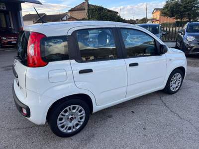 Fiat Panda 1.0 hybrid Easy s&s 70cv Bianco usata Sora