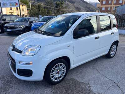 Fiat Panda 1.0 hybrid Easy s&s 70cv Bianco usata Sora