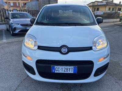 Fiat Panda 1.0 hybrid Easy s&s 70cv Bianco usata Sora