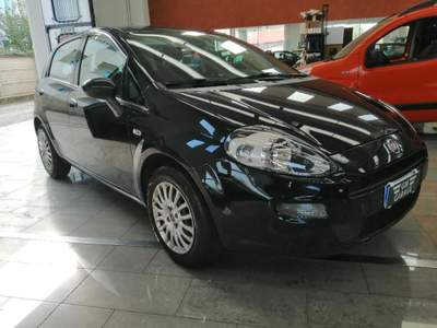 Fiat Punto 1.2 8V 5 porte Street Blu/Azzurro usata OSSONA