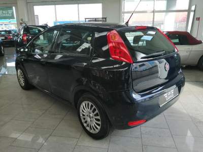 Fiat Punto 1.2 8V 5 porte Street Blu/Azzurro usata OSSONA