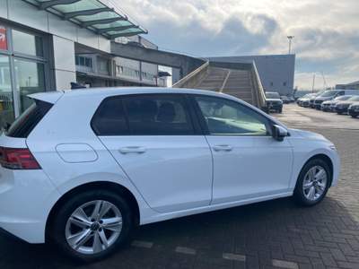 Volkswagen Golf 1.5 TGI DSG Life Bianco usata Treviso
