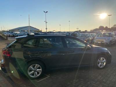 Volkswagen Golf 1.5 TGI DSG Life Grigio usata Treviso