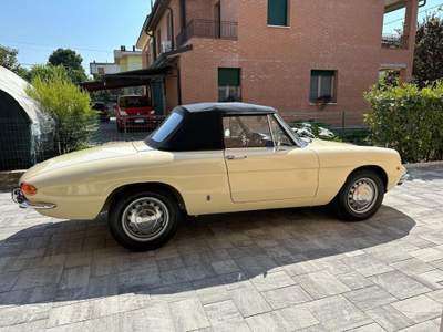 Alfa Romeo Spider 1.3 Junior Osso di Seppia  ASI TARGA ORO Beige usata Reggio Emilia