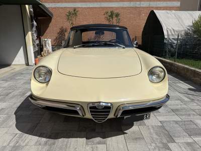 Alfa Romeo Spider 1.3 Junior Osso di Seppia  ASI TARGA ORO Beige usata Reggio Emilia