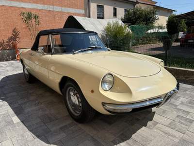 Alfa Romeo Spider 1.3 Junior Osso di Seppia  ASI TARGA ORO Beige usata Reggio Emilia